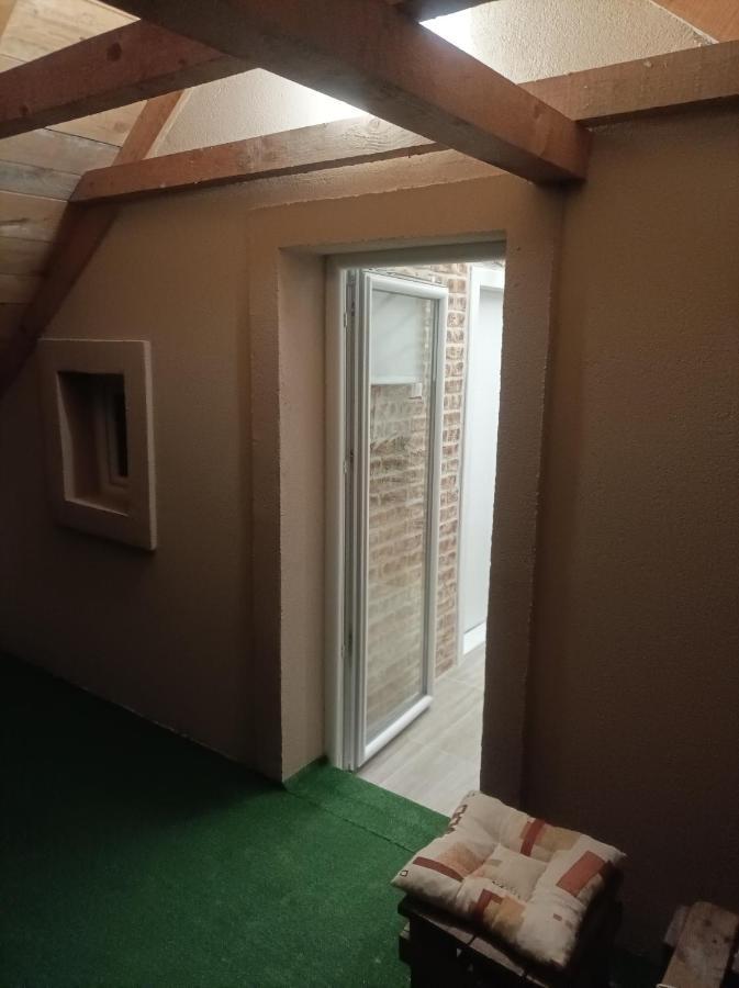 Apartmani Marija Zemun Zemun Polje Экстерьер фото